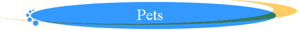 Pets