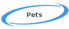 Pets